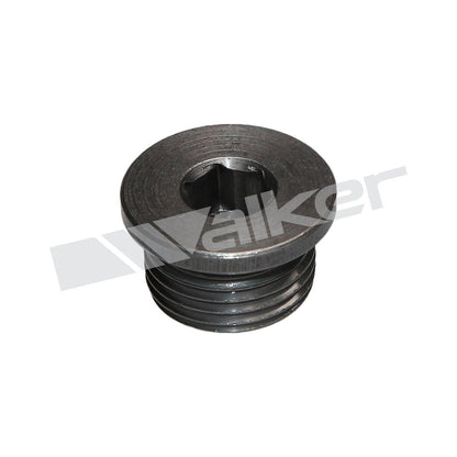 Walker Products Walker Products 90-200 Oxygen Sensor Bung Plug 90-200