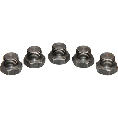 Walker Products Oxygen Sensor Bung Plug 90-204P