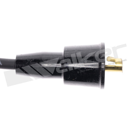 Walker Products ThunderCore PRO 924-1024 Spark Plug Wire Set 924-1024