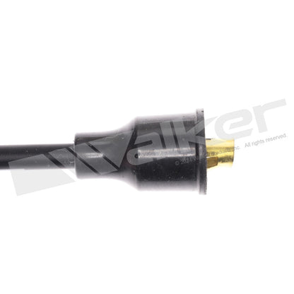 Walker Products ThunderCore PRO 924-1291 Spark Plug Wire Set 7MM 6-CYL 924-1291