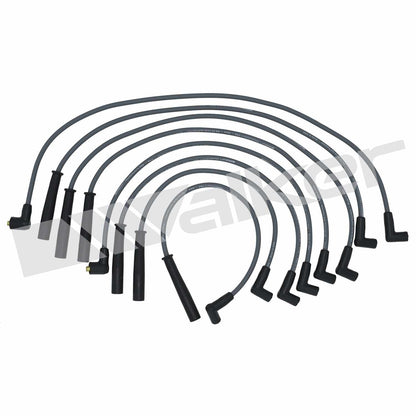 Walker Products ThunderCore PRO 924-1304 Spark Plug Wire Set 7MM 6-CYL 924-1304