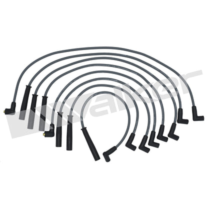 Walker Products ThunderCore PRO 924-1304 Spark Plug Wire Set 7MM 6-CYL 924-1304