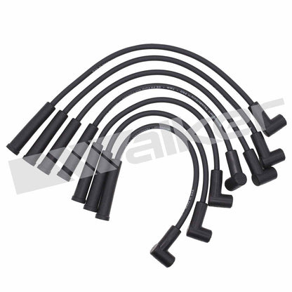 Walker Products ThunderCore PRO 924-1351 Spark Plug Wire Set 924-1351