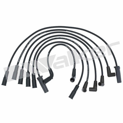 Walker Products ThunderCore PRO 924-1362 Spark Plug Wire Set 924-1362