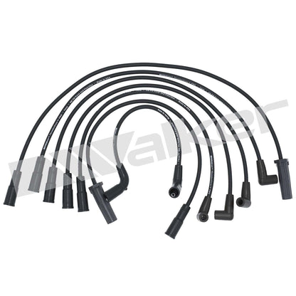 Walker Products ThunderCore PRO 924-1362 Spark Plug Wire Set 924-1362