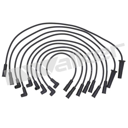Walker Products ThunderCore PRO 924-1425 Spark Plug Wire Set 7MM 8-CYL 924-1425