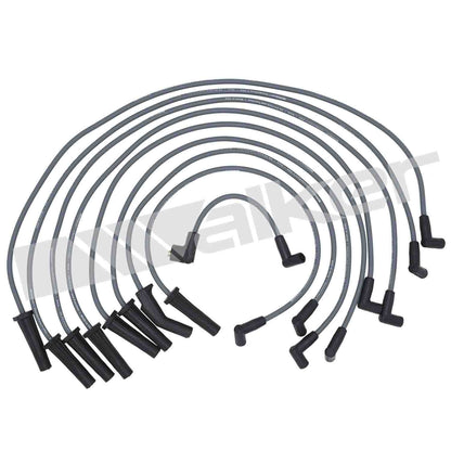 Walker Products ThunderCore PRO 924-1445 Spark Plug Wire Set 8MM 8-CYL 924-1445
