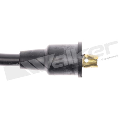 Walker Products ThunderCore PRO 924-1452 Spark Plug Wire Set 8MM 12-CYL 924-1452