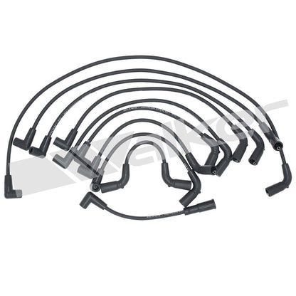 Walker Products ThunderCore PRO 924-1476 Spark Plug Wire Set 5MM 8-CYL 924-1476