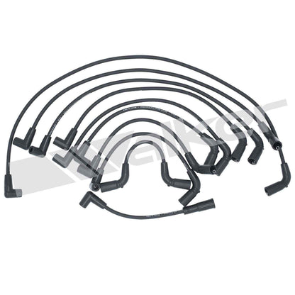 Walker Products ThunderCore PRO 924-1476 Spark Plug Wire Set 5MM 8-CYL 924-1476