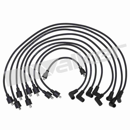 Walker Products ThunderCore PRO 924-1597 Spark Plug Wire Set 7MM 8-CYL 924-1597