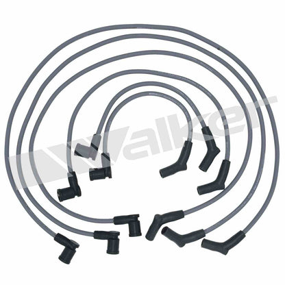 Walker Products ThunderCore PRO 924-1608 Spark Plug Wire Set 8MM 6-CYL 924-1608