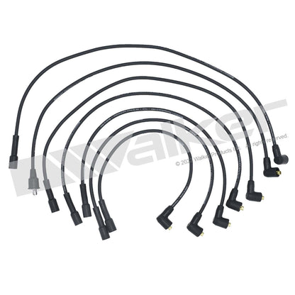 Walker Products ThunderCore PRO 924-1609 Spark Plug Wire Set 7MM 6-CYL 924-1609
