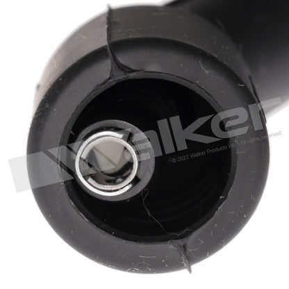 Walker Products ThunderCore-Ultra 924-6012B Spark Plug Wire Set 8.8MM 924-6012B