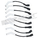 Walker Products ThunderCore-Ultra 924-6012 Spark Plug Wire Set 8.8MM 924-6012