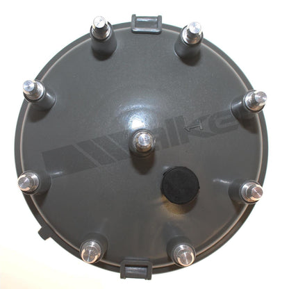 ThunderSpark Walker Products 925-1019 Distributor Cap 925-1019