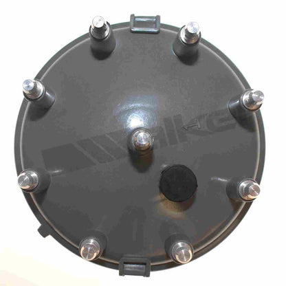 ThunderSpark Walker Products 925-1019 Distributor Cap 925-1019