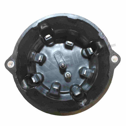 ThunderSpark Walker Products 925-1028 Distributor Cap 925-1028