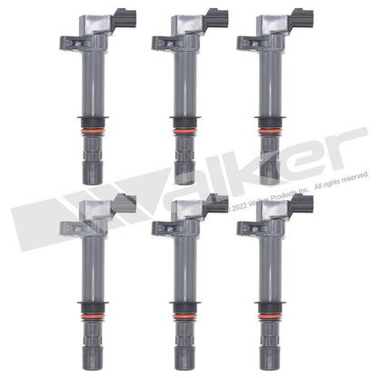 Walker 928-4051-6