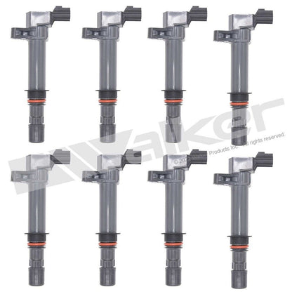Walker 928-4052-8