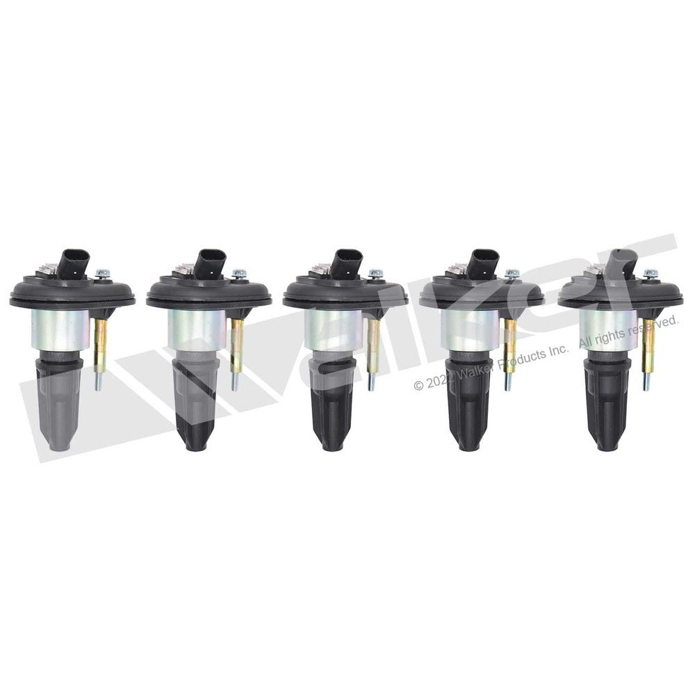 Walker 928-4054-5