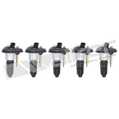 Walker 928-4054-5