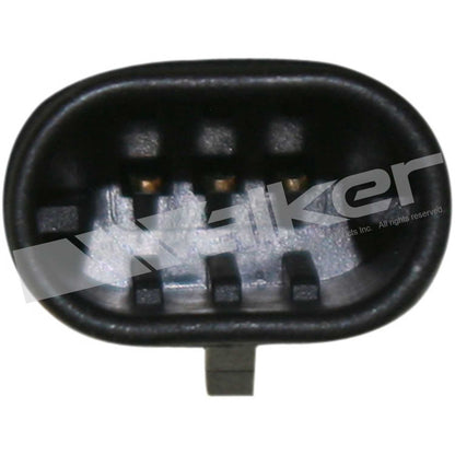 Walker Products 928-4055-6