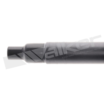 Walker 928-4065-4