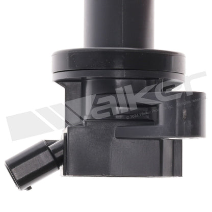 Walker 928-4065-4