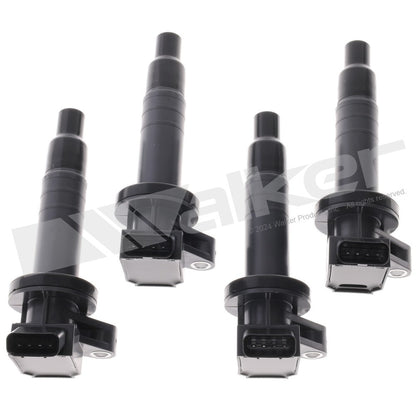Walker 928-4065-4