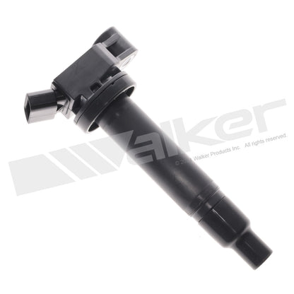 Walker 928-4066-6