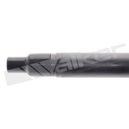 Walker 928-4066-6