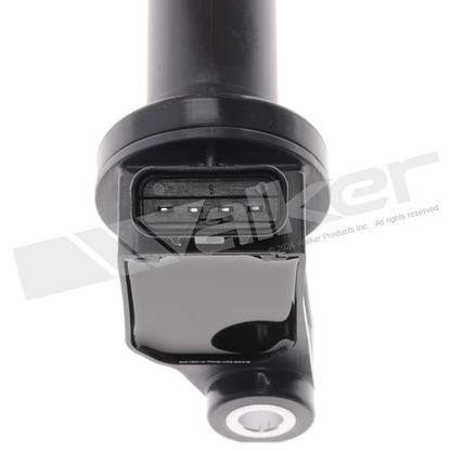 Walker 928-4066-6