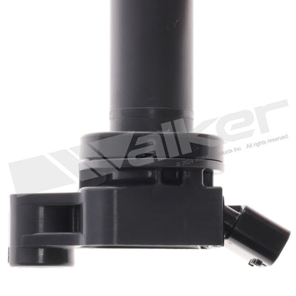 Walker 928-4066-6