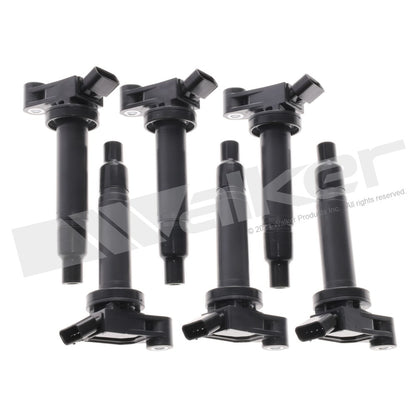 Walker 928-4066-6