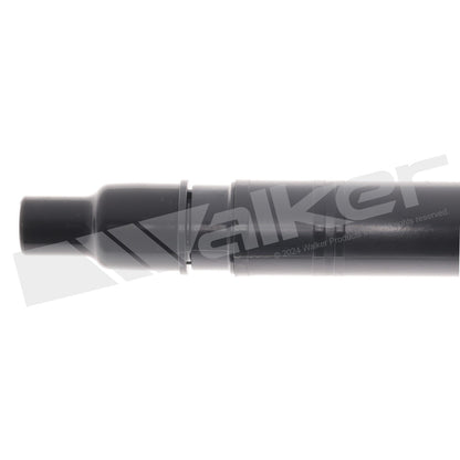 Walker 928-4077-6