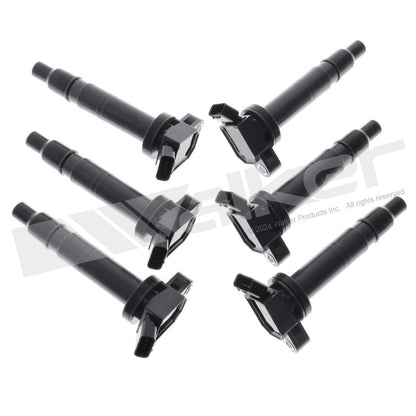 Walker 928-4077-6