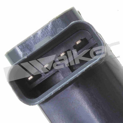 Walker 928-4086-6