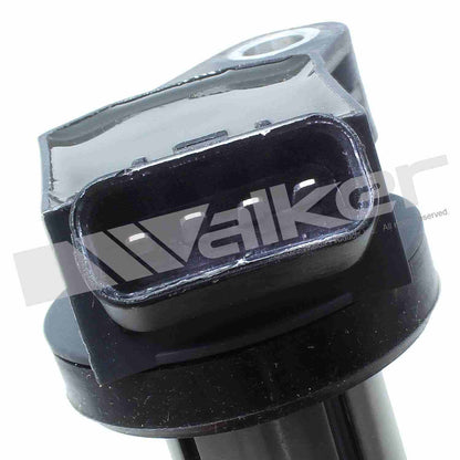 Walker 928-4087-6