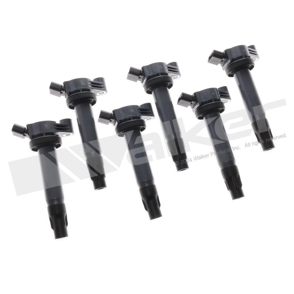 Walker 928-4092-6