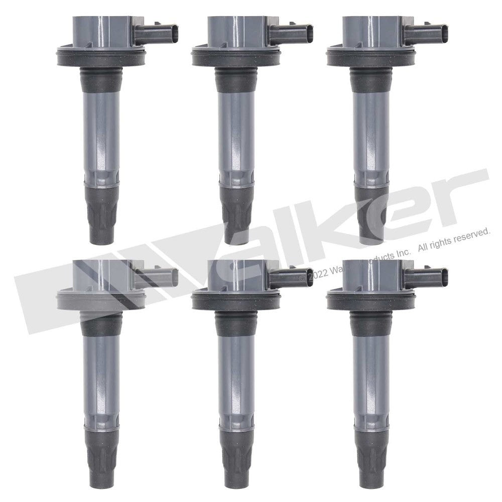 Walker 928-4102-6