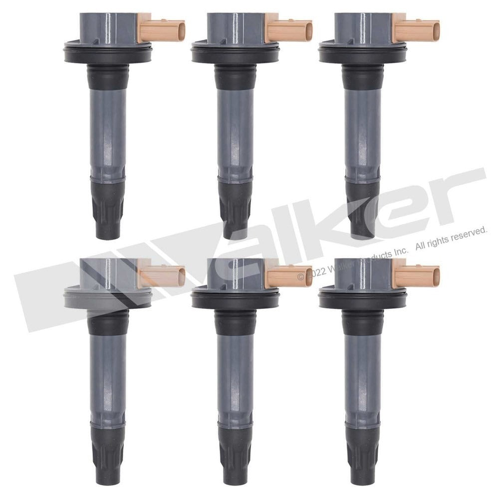 Walker 928-4105-6