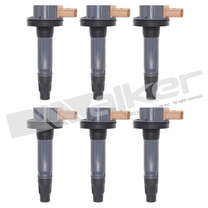 Walker 928-4105-6