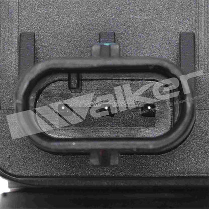 Walker Products 928-4119-6