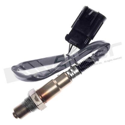 OTHERMOTIVE Walker Products 932-44005 Oxygen Sensor 4-W Direct Fit 932-44005