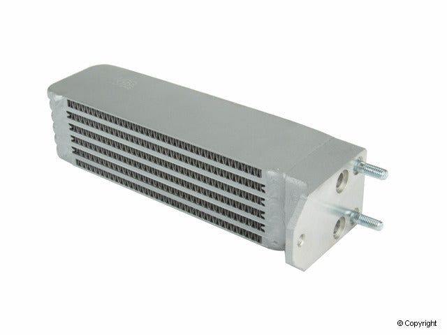 OE Supplier 61610704101
