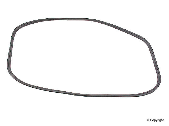 OE Supplier Windshield Seal 64454190100
