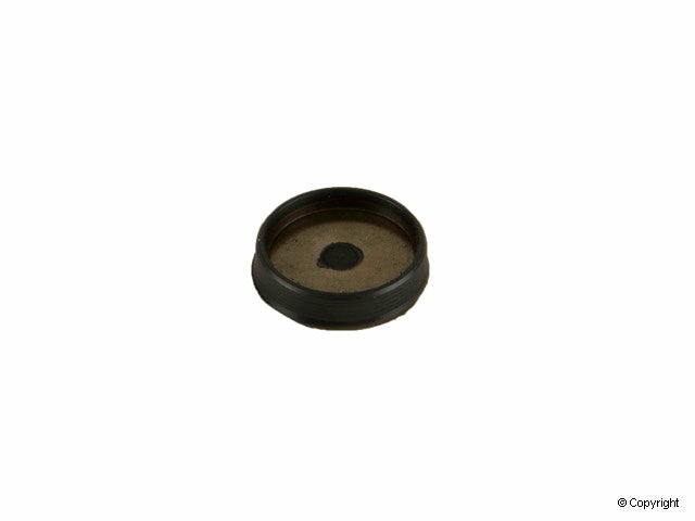 OE Supplier Engine Cylinder Head Plug 99610532970