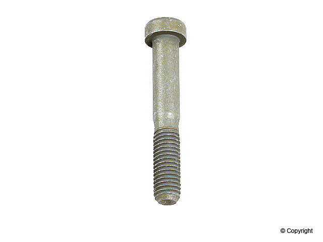OE Supplier Engine Camshaft Bolt 99951002208
