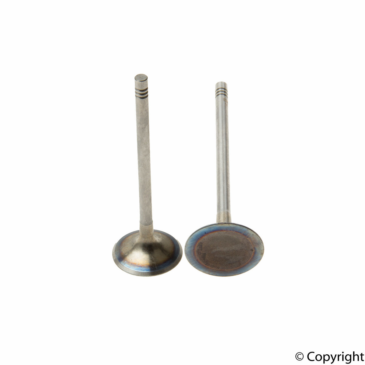 Osvat Engine Intake Valve